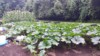farmergal