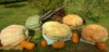 Cornhusk