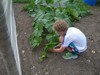 Dorset Farmers - MarkB