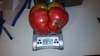 8.61 Sutherland Tomato