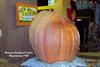World Record Pumpkin ready to carve