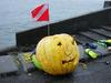 New worlds record for largest pumkin carved under water 