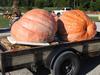 Entries ready for unloading