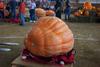2002 Topsfield Fair - #49 - 561.2 lbs by Gregory Zujus