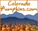 Link To: Colorado Pumpkins